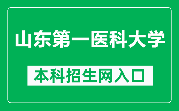 山东第一医科大学本科招生网网址(https://enrollment.sdfmu.edu.cn/)