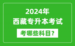 2024年西藏专升本需要考哪些科目？