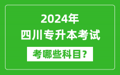 2024年四川专升本需要考哪些科目？