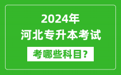 2024年河北专升本需要考哪些科目？