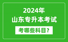 2024年山东专升本需要考哪些科目？