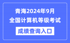 青海2024年9月全国计算机等级考试成绩查询入口（https://www.neea.edu.cn/）
