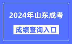 2024年山东成考成绩查询入口网址（https://www.sdzk.cn/）