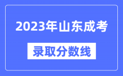 2023年山东成人高考分数线_山东成考录取分数线是多少