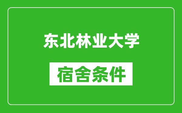 东北林业大学宿舍条件怎么样,有空调吗?