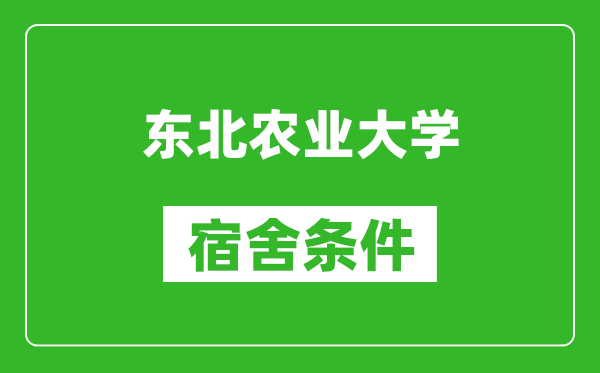 东北农业大学宿舍条件怎么样,有空调吗?