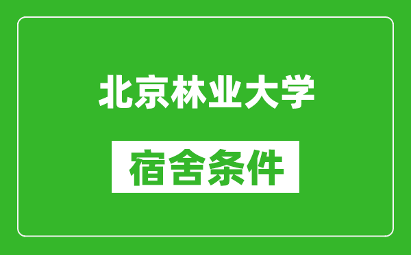 北京林业大学宿舍条件怎么样,有空调吗?