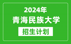 2024年青海民族大学艺考招生计划_艺术类各专业招生人数