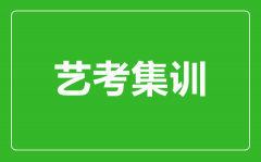 艺考集训是什么意思_不参加集训可以艺考吗?