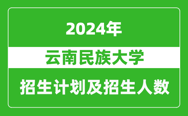云南民族大学2024年在河南的招生计划和招生人数