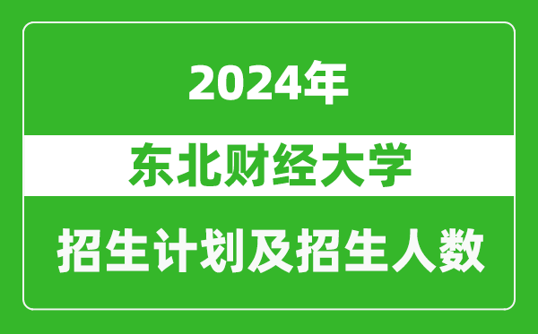 东北财经大学2024年在河南的招生计划和招生人数
