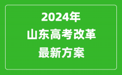 2024年山东高考模式是什么_山东2024高考改革最新方案