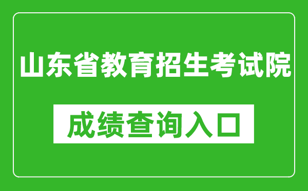 山东省教育招生考试院成绩查询入口：https://www.sdzk.cn/