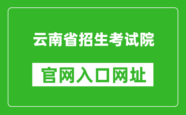 云南省招考频道官网入口网址:https://www.ynzs.cn/
