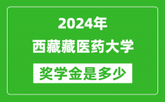 2024年西藏藏医药大学奖学金多少钱_覆盖率是多少？