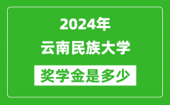2024年云南民族大学奖学金多少钱_覆盖率是多少？