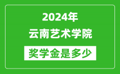 2024年云南艺术学院奖学金多少钱_覆盖率是多少？