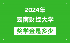 2024年云南财经大学奖学金多少钱_覆盖率是多少？