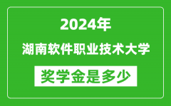 2024年湖南软件职业技术大学奖学金多少钱_覆盖率是多少？