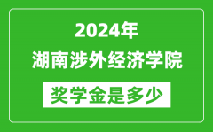 2024年湖南涉外经济学院奖学金多少钱_覆盖率是多少？