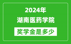 2024年湖南医药学院奖学金多少钱_覆盖率是多少？