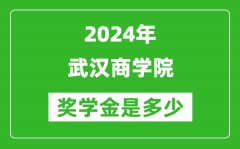 2024年武汉商学院奖学金多少钱_覆盖率是多少？