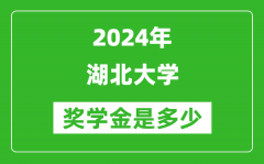 2024年湖北大学奖学金多少钱_覆盖率是多少？