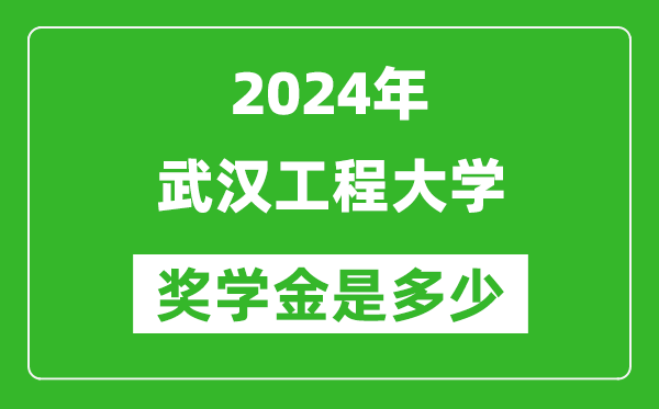 2024年武汉工程大学奖学金多少钱,覆盖率是多少？