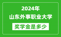 2024年山东外事职业大学奖学金多少钱_覆盖率是多少？