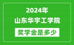 2024年山东华宇工学院奖学金多少钱_覆盖率是多少？