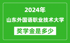 2024年山东外国语职业技术大学奖学金多少钱_覆盖率是多少？