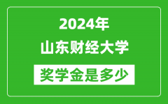 2024年山东财经大学奖学金多少钱_覆盖率是多少？