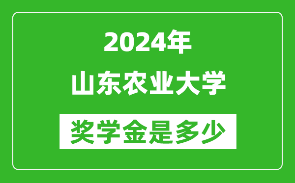 2024年山东农业大学奖学金多少钱,覆盖率是多少？