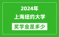 2024年上海纽约大学奖学金多少钱_覆盖率是多少？