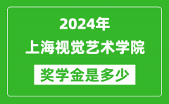 2024年上海视觉艺术学院奖学金多少钱_覆盖率是多少？