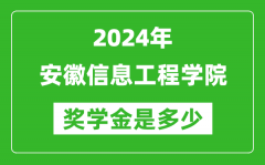 2024年安徽信息工程学院奖学金多少钱_覆盖率是多少？