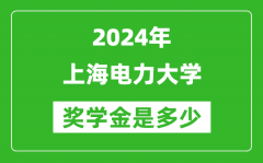 2024年上海电力大学奖学金多少钱_覆盖率是多少？