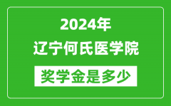 2024年辽宁何氏医学院奖学金多少钱_覆盖率是多少？