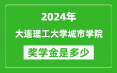 2024年大连理工大学城市学院奖学金多少钱_覆盖率是多少？