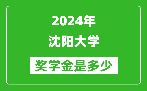 2024年沈阳大学奖学金多少钱,覆盖率是多少？