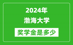2024年渤海大学奖学金多少钱_覆盖率是多少？