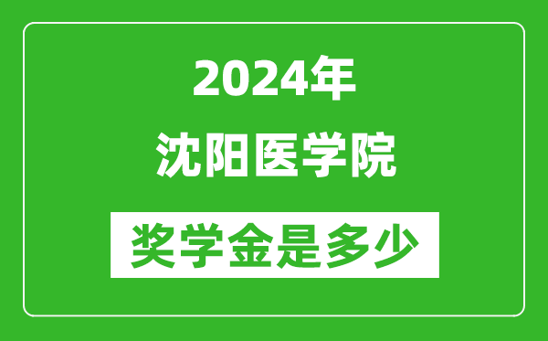 2024年沈阳医学院奖学金多少钱,覆盖率是多少？