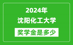 2024年沈阳化工大学奖学金多少钱_覆盖率是多少？