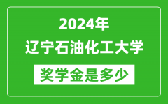 2024年辽宁石油化工大学奖学金多少钱_覆盖率是多少？