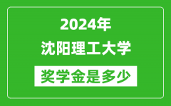 2024年沈阳理工大学奖学金多少钱_覆盖率是多少？
