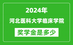 2024年河北医科大学临床学院奖学金多少钱_覆盖率是多少？