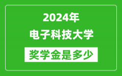 2024年电子科技大学奖学金多少钱_覆盖率是多少？