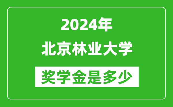 2024年北京林业大学奖学金多少钱,覆盖率是多少？