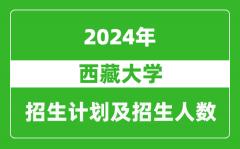 西藏大学2024年在重庆的招生计划及招生人数