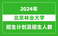 北京林业大学2024年在重庆的招生计划及招生人数